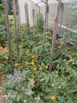 IMG_0826.JPG