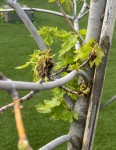 IMG_9405.jpeg