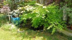 Compress_20240625_142128_8262.jpg