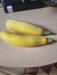 20240625_154540.jpg