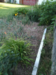 IMG_20240628_073513.png