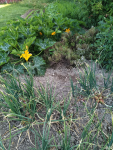 IMG_20240628_073708.png