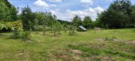 IMG_20240614_131629.jpg