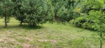 IMG_20240614_131643.jpg