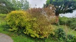 20240702_102654.jpg