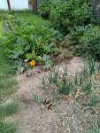 IMG_20240701_083944.png