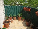IMG_6052.jpg