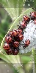 IMG_0405.jpeg