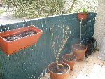 IMG_6053.jpg
