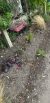 Goutte à goutte1.jpeg