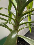IMG_0185.JPEG