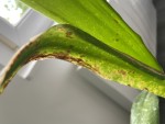 IMG_0187.JPEG