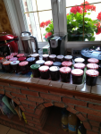 IMG_20240710_155338.png