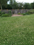 IMG_20240710_140449.png