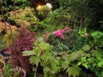 jardin_240712b.jpg
