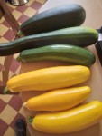 20240713_093258.jpg