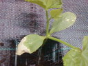 SP_A0084.jpg