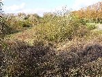 2008 04 15_001.jpg