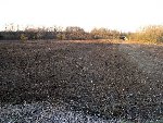 2009 03 06_001.jpg