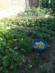 IMG_20240720_085228.png