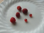 D276A08B-CF86-4548-A035-CE03D909F8DA.jpeg