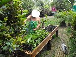 jardin22.jpg