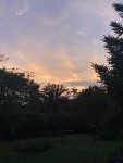 IMG_0989.JPG