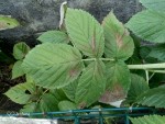 P_20240723_090604_vHDR_On_p.jpg
