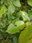IMG_20240723_200123912_HleLjDfK1M.jpeg