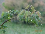 DSC07463.JPG