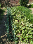 IMG_20240729_125633.png