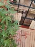 IMG_20240628_204440.jpg