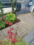 IMG_20240629_120412.jpg