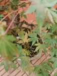 IMG_20240628_204430.jpg
