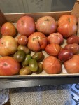 IMG_1179.JPG