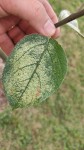 IMG_20240825_134218.jpg