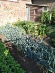 IMG_20240826_091315.png