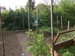 Grillage haricots-1.JPG