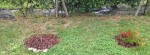 20240831_180854.jpg