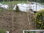 DSC01609.JPG