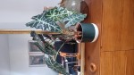 IMG_3017.jpeg