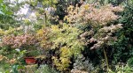 Compress_20240905_170642_2828.jpg