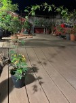 IMG_0220.jpeg
