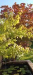 Compress_20240910_091737_7818.jpg