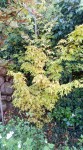 Compress_20240910_091741_1190.jpg