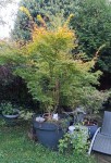 Compress_20240910_091740_0390.jpg