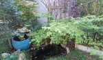 Compress_20240910_091742_2108.jpg