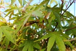 Compress_20240910_090649_9003.jpg
