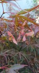 Compress_20240910_090647_7677.jpg