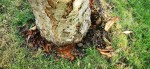 IMG_20240915_173202.jpg